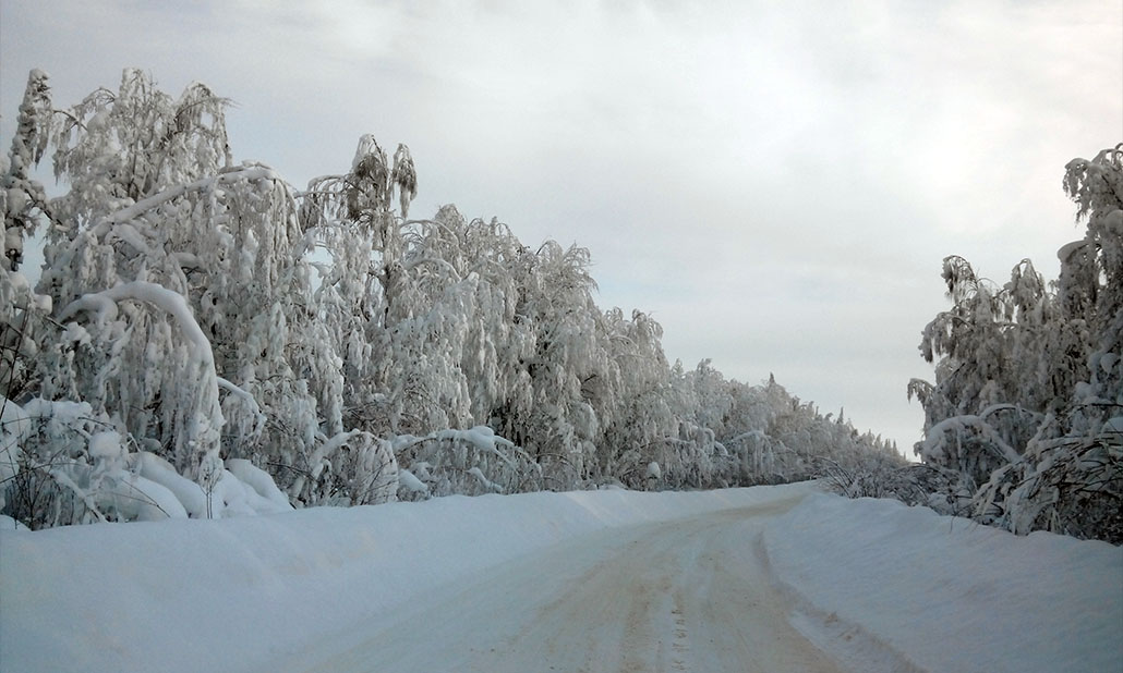Зимняя дорога среди лесов