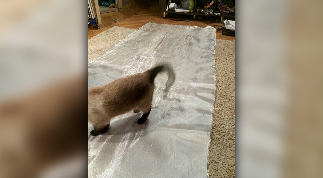 Кошка гуляет по стеклоткани